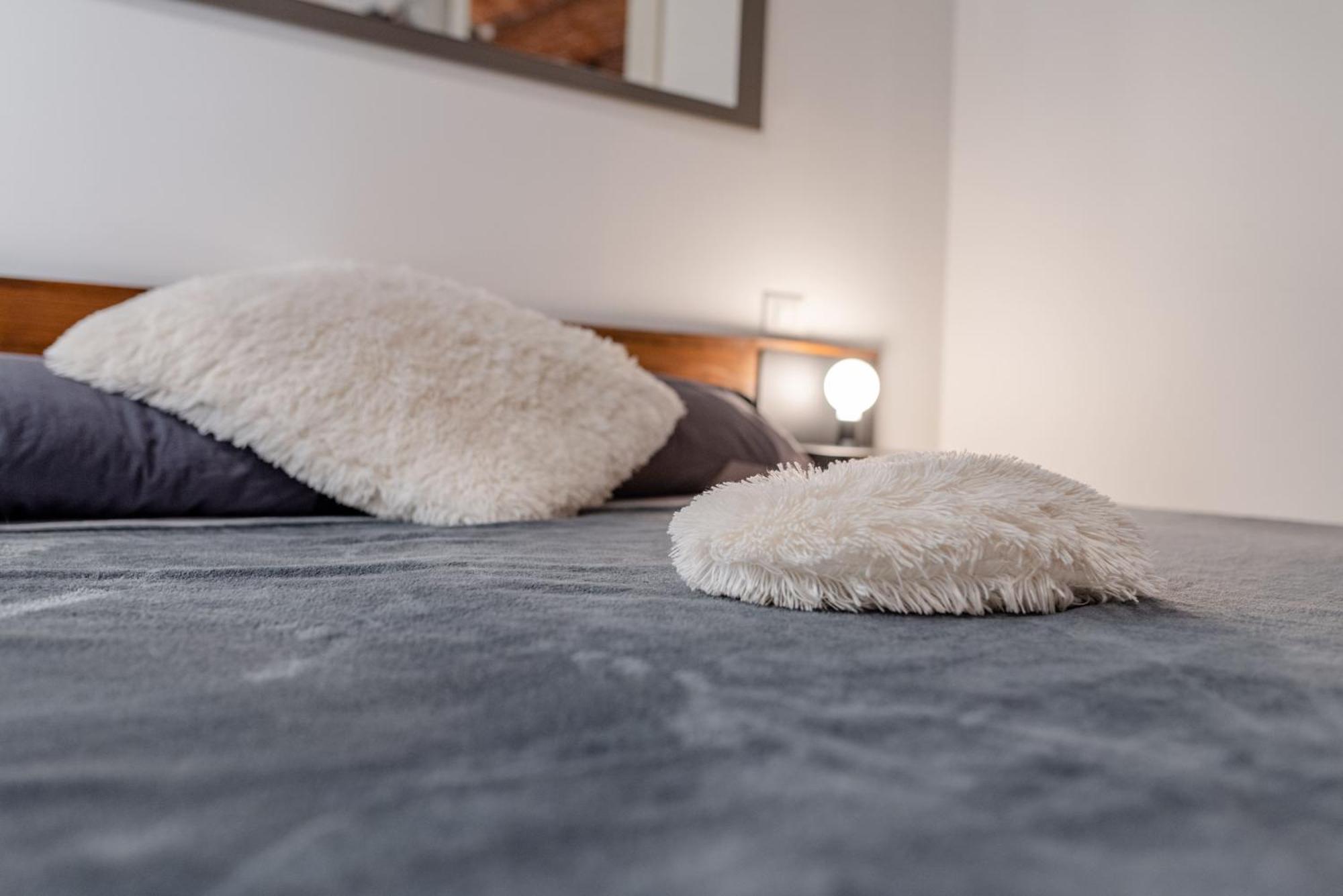 Suite & Queen Apartments Turin Ngoại thất bức ảnh